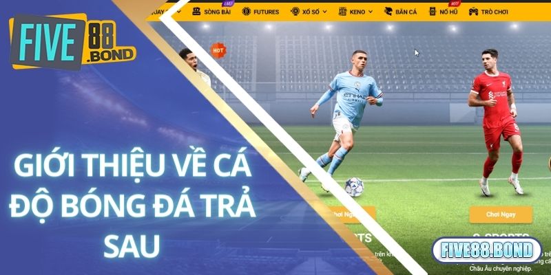 Hướng Dẫn Cách Lấy Trang Bóng Trả Sau Dễ Hiểu Nhất 1 Giải thích về cá độ bóng đá trả sau